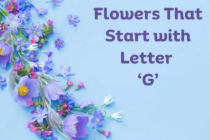 Flowers That Start With G