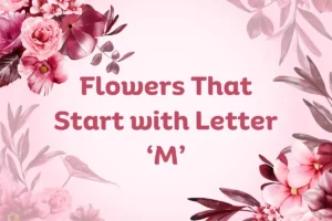 Flowers That Start With M