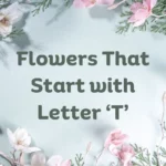 Flowers That Start With T