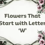 Flowers That Start With W