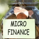 Benefits of Online Microloans In Sri Lanka