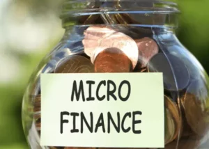 Benefits of Online Microloans
