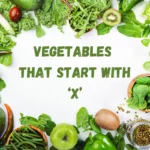 Looking to Expand Your Veggie Knowledge? Here’s a List of Vegetables That Start With X!