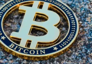 Bitcoin Memes