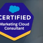 Driving Marketing Success: The Impact Of Marketing Cloud Consultant