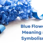 Blue Flower Meaning: What Do They Symbolize?