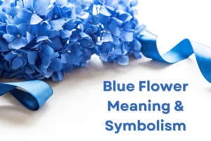 Blue Flower Meaning