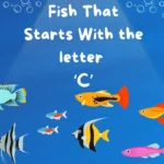 The Ultimate Guide to Fish That Start With C: Full List Revealed!