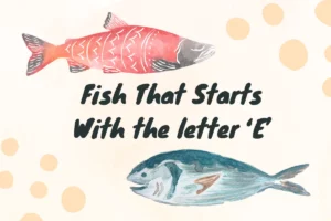 Fish That Start With E