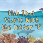 Explore Exotic Waters: List Of Fish That Start With F Uncovered!