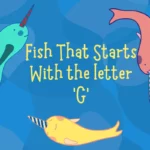 Discover the Graceful World of Fish That Start with G – A Complete Guide