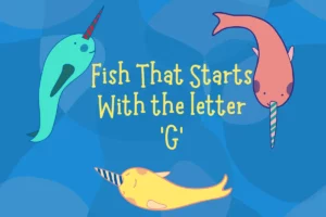 Fish That Start with G