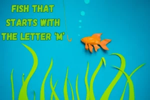 Fish That Start with M