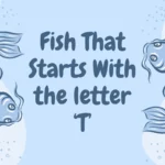 Uncover the Mystery: Fish That Start with T Revealed!