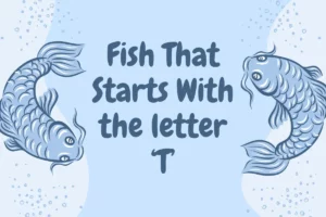 Fish That Start with T