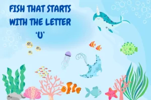 Fish That Start with U