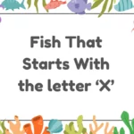 Unveiling the Mysteries of Fish That Start with X: A Complete Guide