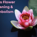 Explore the Spiritual Significance of Lotus Flower Meaning and Symbolism