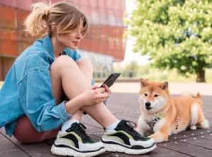 Obedience Training