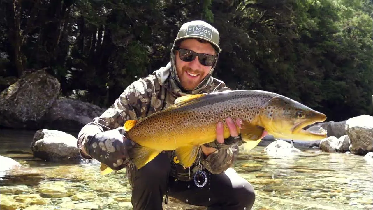 Best Fly Fishing Movies to Watch