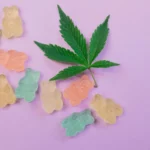 The Rise of Cannabis Gummies In the Edibles Market