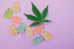The Rise of Cannabis Gummies