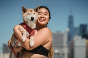 Types Of Materials & Designs In Dog Harness