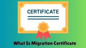 What Is Migration Certificate? Complete Beginner’s Guide