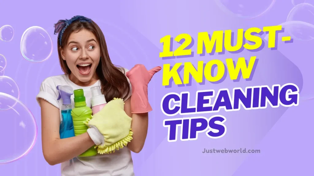 Best House Cleaning Tips For Busy Homeowners