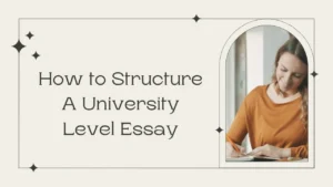 Easy essay writing guide for university students