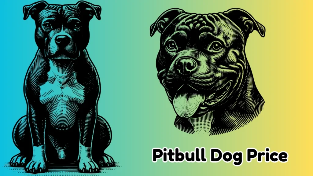 Pitbull Dog Price In India 2025 With Full Guide
