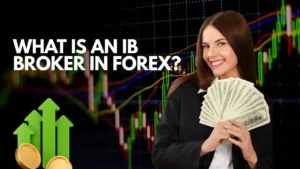 What is an IB broker in forex trading