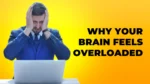 Causes Of Mental Overload In Modern Life
