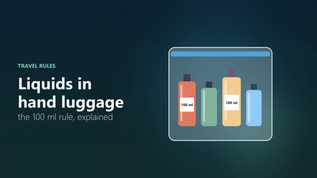 Illustration of a clear resealable bag holding four small travel bottles, two labelled 100 ml